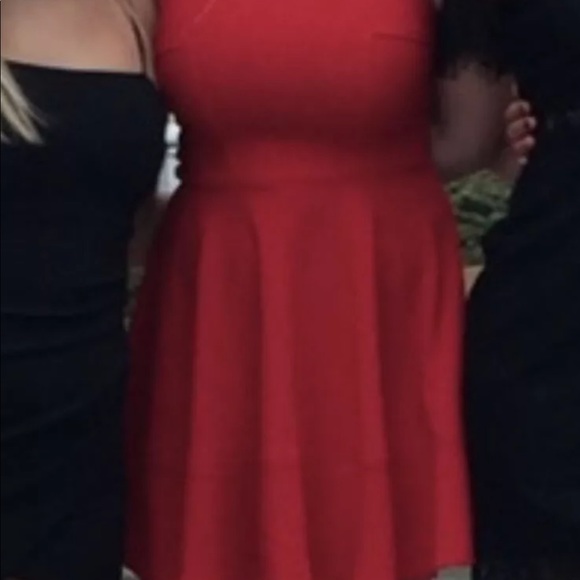 Lulu’s Dress - Picture 3 of 4